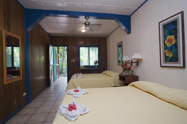 Puerto Viejo de Talamanca Camarona Caribbean Lodge חדר תמונה