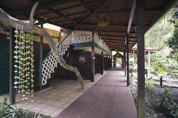 Puerto Viejo de Talamanca Camarona Caribbean Lodge מראה חיצוני תמונה